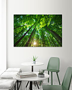 Obraz Les a jeho tajomstvá 1927